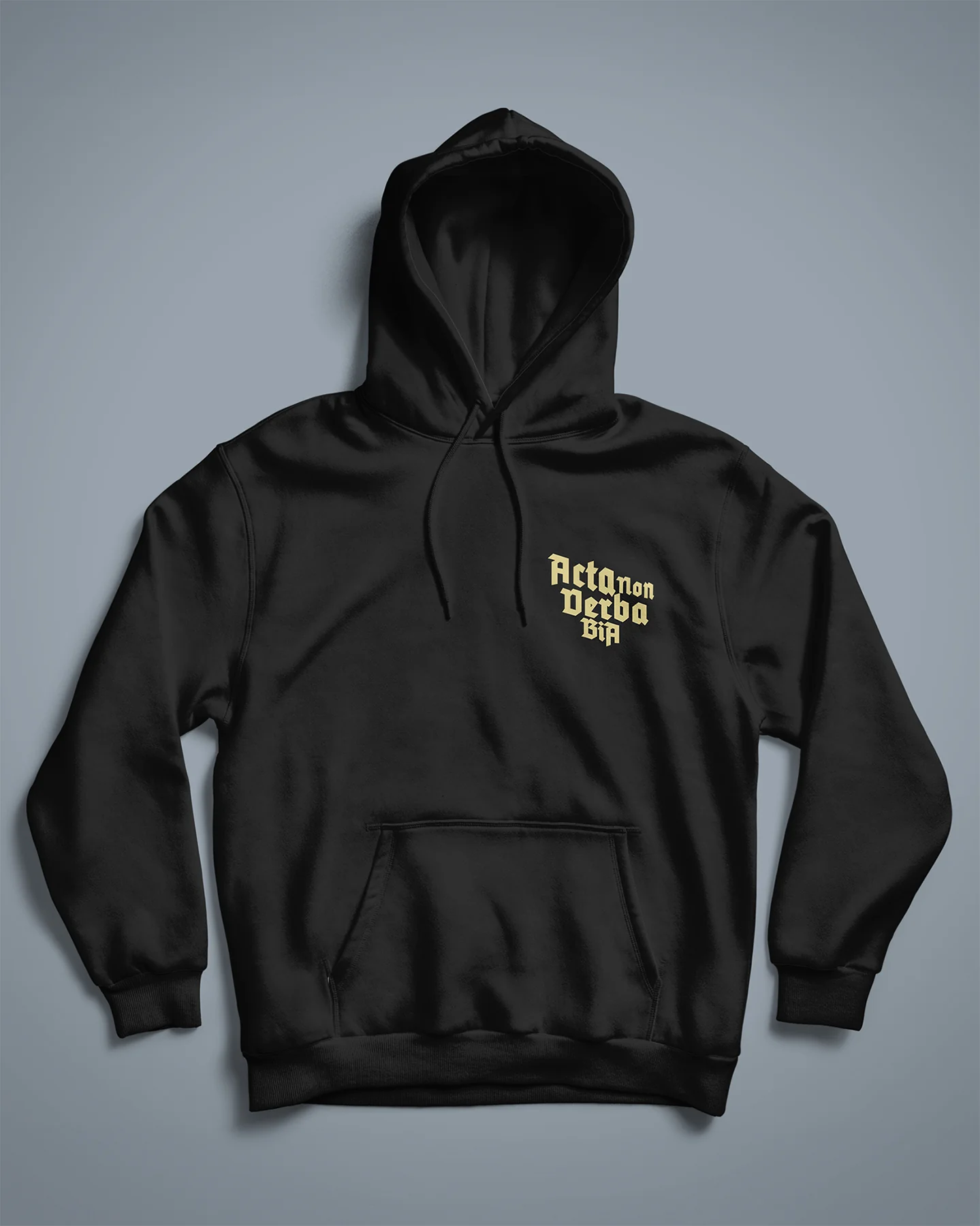 Acta Non Verba Hoodie - Image 4